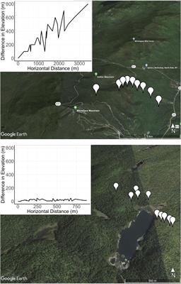 Elevational Gradients Impose Dispersal Limitation on Streptomyces